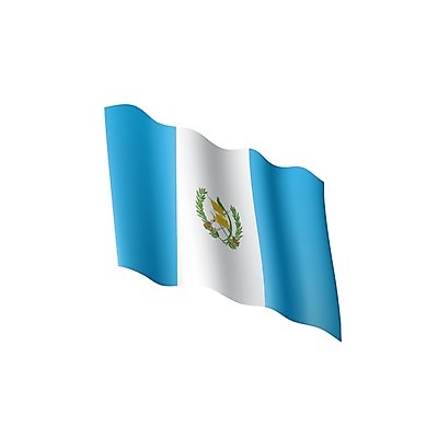 EPS 해외이미지 디자인 배너 백그라운드 일러스트 바람 프레임 그래픽 가로 깃발 직물 불기 물개 심볼 사인 무역 신분 애국심 공화국 과테말라 엘리먼트 전국 정부 정확 해외202004 해외202105 해외일러스트 자연요소 나라 산업 컨셉 포유류 모션 날씨 바다동물 중앙아메리카 파일형식 벡터