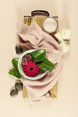 포토 JPG 해외이미지 그릇 꽃 잎 실내 사람없음 하이앵글 수건 담기 스파용품 거베라 아로마테라피 스톤 나무받침 허브볼 분홍색배경 해외202004 해외포토 식물 식기 뷰포인트 분홍색 백그라운드 모션 내부 목재 위생용품 스파 받침대 오브젝트 테라피 파일형식