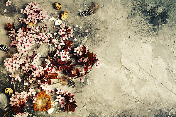 포토 JPG 해외이미지 꽃잎 봄꽃 회색배경 부활절 실내 사람없음 벚꽃 둥지 깃털 메추리알 카피스페이스 해외202004 해외포토 기념일 꽃 백그라운드 내부 알 봄 공백 회색 파일형식