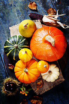 포토 JPG 해외이미지 열매 낙엽 호박 실내 사람없음 농작물 가을 밤 밤송이 삼베 나무바닥 추수감사절 흑찰옥수수 해외202004 해외포토 식물 계절 기독교 잎 농업 채소 바닥 내부 견과류 밤_견과류 찰옥수수 파일형식 천_직물