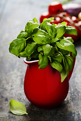 포토 JPG 해외이미지 화분 토마토 실내 사람없음 아웃포커스 원예 바질 해외202004 해외포토 채소 촬영기법 취미 내부 파일형식