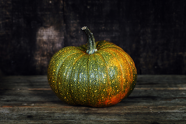 포토 JPG 해외이미지 호박 검은배경 실내 사람없음 농작물 한개 가을 해외202004 해외포토 1 계절 백그라운드 농업 채소 내부 검은색 파일형식