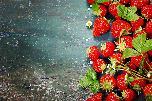 포토 JPG 해외이미지 꽃 딸기 실내 사람없음 하이앵글 파란배경 딸기잎 해외202004 해외포토 식물 뷰포인트 백그라운드 잎 과일 내부 파란색 파일형식