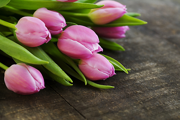 포토 JPG 해외이미지 꽃다발 실내 사람없음 쌓기 튤립 나무탁자 해외202004 해외포토 꽃 모션 탁자 내부 파일형식