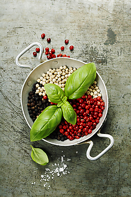 포토 JPG 해외이미지 회색배경 실내 사람없음 하이앵글 냄비 소금 바질 통후추 해외202004 해외포토 뷰포인트 백그라운드 내부 회색 솥 후추 파일형식