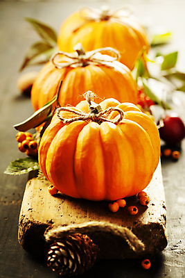 포토 JPG 해외이미지 열매 리본 잎 호박 실내 사람없음 아웃포커스 농작물 가을 일렬 솔방울 나무받침 해외202004 해외포토 식물 계절 농업 채소 촬영기법 내부 목재 받침대 파일형식