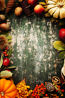 포토 JPG 해외이미지 열매 낙엽 호박 프레임 실내 사람없음 농작물 하이앵글 가을 사과 밤송이 나무바닥 호두 도토리 솔방울 흑찰옥수수 해외202004 해외포토 식물 계절 뷰포인트 잎 농업 채소 과일 바닥 내부 견과류 밤_견과류 찰옥수수 파일형식