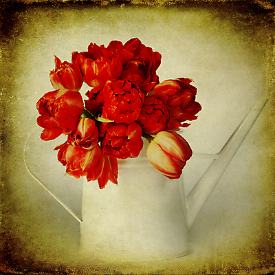 포토 JPG 해외이미지 종이 꽃다발 사람없음 물뿌리개 튤립 빈티지 해외202004 해외포토 꽃 컨셉 파일형식
