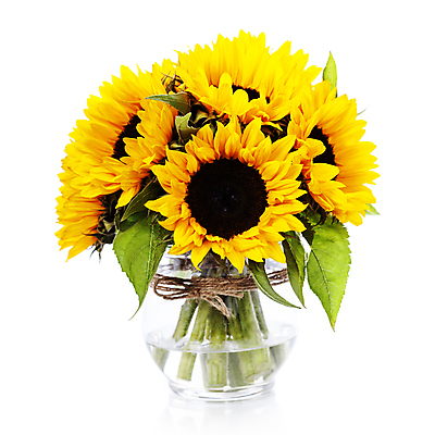 포토 JPG 해외이미지 해바라기 실내 사람없음 꽃병 해외202004 해외포토 꽃 내부 파일형식