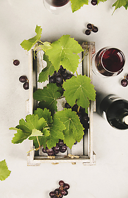 포토 JPG 해외이미지 백그라운드 와인잔 포도 사람없음 하이앵글 와인 나무상자 흰배경 포도잎 해외202004 해외포토 뷰포인트 잎 술잔 과일 주류 상자 흰색 파일형식