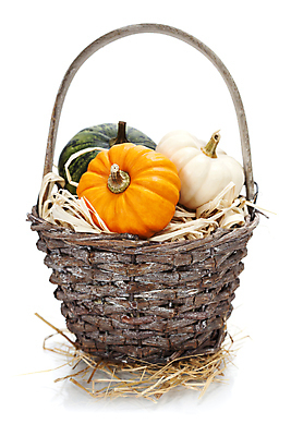 포토 JPG 해외이미지 호박 실내 종류 사람없음 농작물 바구니 가을 볏짚 흰배경 담기 해외202004 해외포토 계절 백그라운드 농업 채소 모션 내부 흰색 짚 파일형식