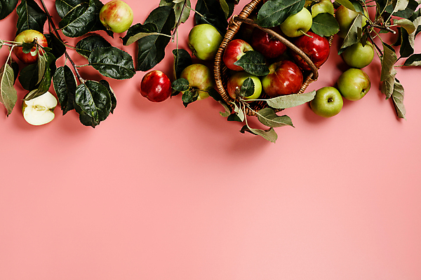 포토 JPG 해외이미지 잎 실내 사람없음 하이앵글 신선 사과 담기 청사과 사과바구니 카피스페이스 분홍색배경 해외202004 해외포토 식물 뷰포인트 분홍색 백그라운드 과일 모션 내부 바구니 공백 파일형식