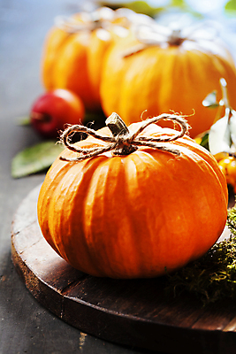 포토 JPG 해외이미지 리본 호박 실내 사람없음 아웃포커스 농작물 가을 나무도마 해외202004 해외포토 계절 농업 채소 도마 촬영기법 내부 목재 파일형식