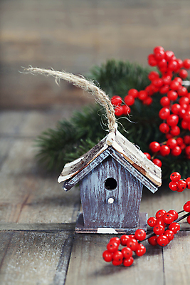 포토 JPG 해외이미지 크리스마스장식 크리스마스 사람없음 새장 나무탁자 호랑가시나무열매 해외202004 해외포토 기념일 열매 탁자 케이지 파일형식