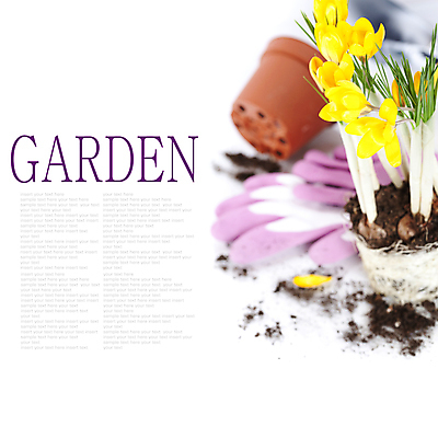 포토 JPG 해외이미지 장갑 실내 사람없음 아웃포커스 모종삽 흰배경 원예 수선화 해외202004 해외포토 잡화 꽃 백그라운드 촬영기법 취미 내부 흰색 삽 파일형식