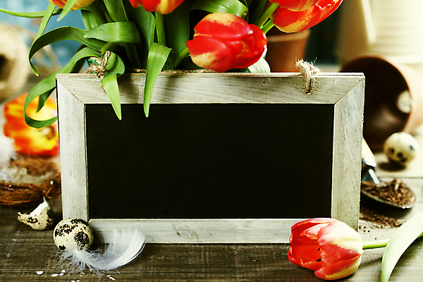 포토 JPG 해외이미지 부활절 프레임 사람없음 아웃포커스 칠판 흙 튤립 모종삽 깃털 메추리알 해외202004 해외포토 기념일 꽃 촬영기법 알 삽 파일형식