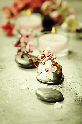 포토 JPG 해외이미지 회색배경 실내 사람없음 아웃포커스 벚꽃 스파용품 향초 아로마테라피 스톤 해외202004 해외포토 꽃 백그라운드 초 촬영기법 내부 스파 회색 오브젝트 테라피 파일형식