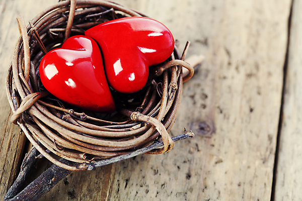 포토 JPG 해외이미지 실내 사랑 사람없음 나뭇가지 하트 둥지 오브젝트 나무바닥 해외202004 해외포토 모양 나무 감정 바닥 내부 파일형식