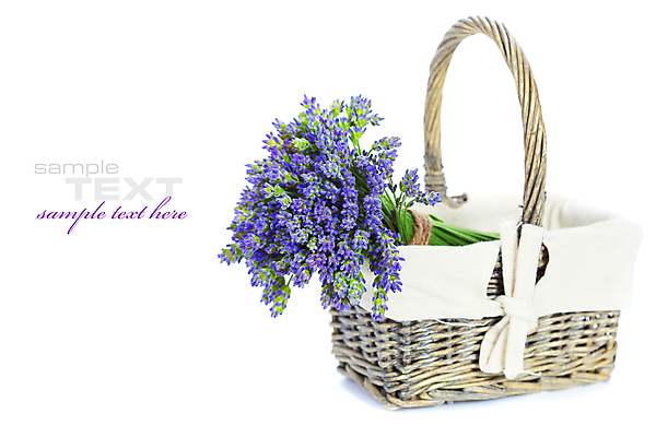 포토 JPG 해외이미지 꽃다발 실내 타이포그라피 사람없음 바구니 흰배경 담기 스파용품 아로마테라피 라벤더 카피스페이스 해외202004 해외포토 문자 꽃 백그라운드 모션 내부 스파 공백 흰색 허브 오브젝트 테라피 파일형식