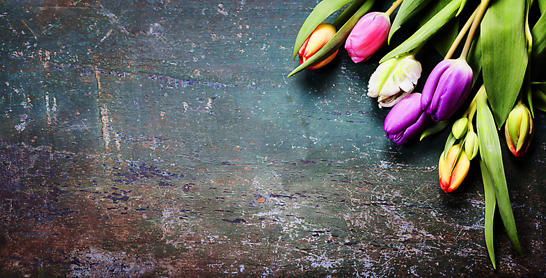 포토 JPG 해외이미지 잎 탁자 사람없음 튤립 해외202004 해외포토 식물 꽃 가구 파일형식