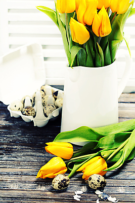 포토 JPG 해외이미지 꽃다발 부활절 실내 사람없음 꽃병 튤립 껍질 메추리알 나무탁자 해외202004 해외포토 기념일 꽃 탁자 내부 알 파일형식