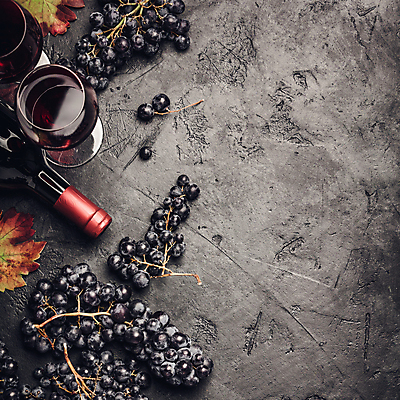 포토 JPG 해외이미지 배너 백그라운드 포도 사람없음 와인 와인오프너 해외202004 해외포토 과일 주류 병따개 파일형식