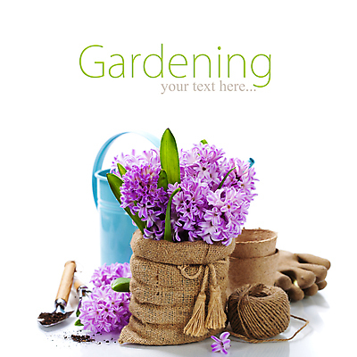 포토 JPG 해외이미지 화분 장갑 실내 사람없음 흙 물뿌리개 모종삽 흰배경 원예 자루 노끈 히아신스 해외202004 해외포토 잡화 꽃 줄 백그라운드 취미 내부 흰색 삽 파일형식