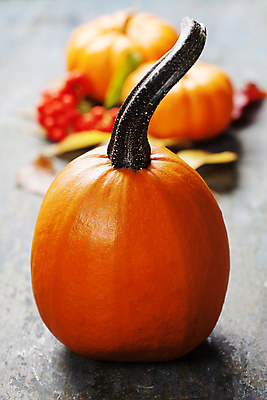 포토 JPG 해외이미지 호박 실내 사람없음 아웃포커스 농작물 가을 해외202004 해외포토 계절 농업 채소 촬영기법 내부 파일형식