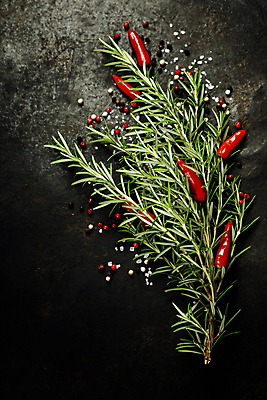 포토 JPG 해외이미지 검은배경 실내 사람없음 허브 홍고추 소금 로즈메리 통후추 해외202004 해외포토 식물 백그라운드 고추 내부 검은색 후추 파일형식