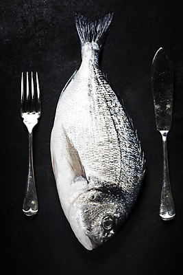 포토 JPG 해외이미지 포크 검은배경 실내 어류 사람없음 하이앵글 나이프 레몬 해산물 해외202004 해외포토 식기 뷰포인트 백그라운드 과일 내부 검은색 수중동물 칼 파일형식