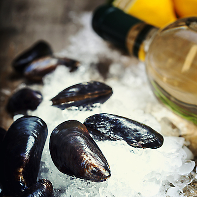 포토 JPG 해외이미지 근접촬영 사람없음 아웃포커스 얼음 화이트와인 레몬 홍합 나무도마 해외202004 해외포토 자연요소 뷰포인트 과일 어패류 도마 촬영기법 목재 와인 파일형식