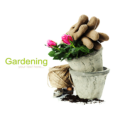 포토 JPG 해외이미지 화분 장갑 실내 사람없음 장미 흙 모종삽 흰배경 원예 노끈 화초가위 해외202004 해외포토 잡화 꽃 줄 백그라운드 가위_도구 취미 내부 흰색 삽 파일형식