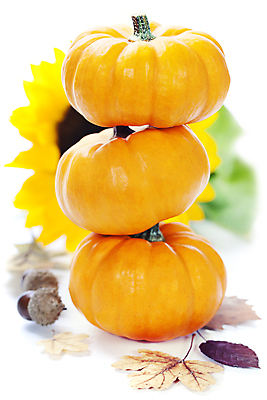 포토 JPG 해외이미지 낙엽 호박 해바라기 실내 사람없음 아웃포커스 농작물 쌓기 가을 세개 흰배경 도토리 해외202004 해외포토 계절 꽃 백그라운드 잎 농업 채소 모션 촬영기법 3 내부 견과류 흰색 파일형식