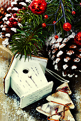 포토 JPG 해외이미지 크리스마스장식 크리스마스 사람없음 솔방울 새장 솔잎 나무탁자 오너먼트 해외202004 해외포토 기념일 잎 탁자 케이지 파일형식