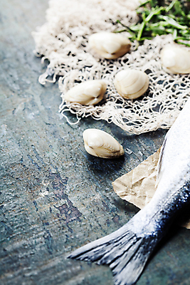 포토 JPG 해외이미지 조개 새우 실내 어류 사람없음 그물 레몬 해산물 소금 해외202004 해외포토 과일 어패류 갑각류 내부 수중동물 파일형식