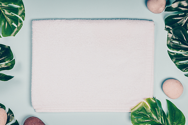 포토 JPG 해외이미지 프레임 사람없음 조약돌 파란배경 몬스테라 해외202004 해외포토 식물 백그라운드 파란색 돌_바위 파일형식