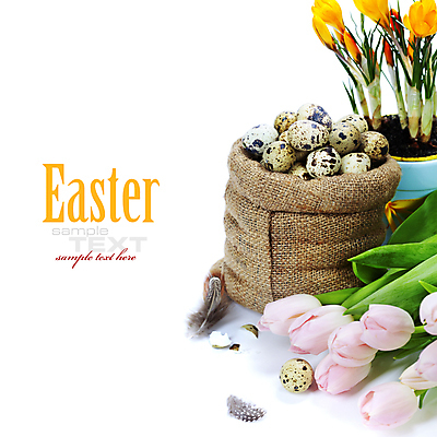 포토 JPG 해외이미지 화분 잎 부활절 사람없음 축제 튤립 깃털 흰배경 부활절계란 자루 메추리알 카피스페이스 해외202004 해외포토 식물 기념일 꽃 백그라운드 계란 알 공백 흰색 파일형식