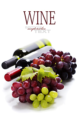 포토 JPG 해외이미지 포도 타이포그라피 사람없음 와인 와인병 흰배경 포도잎 카피스페이스 해외202004 해외포토 문자 백그라운드 잎 과일 병_용기 주류 공백 흰색 파일형식