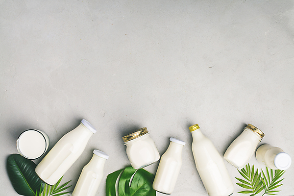 포토 JPG 해외이미지 잎 회색배경 유리병 잔 건강 사람없음 하이앵글 우유 우유병 유기농 몬스테라 칼슘 카피스페이스 해외202004 해외포토 식물 식기 웰빙 뷰포인트 백그라운드 병_용기 유제품 공백 회색 파일형식