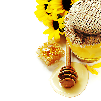 포토 JPG 해외이미지 해바라기 실내 사람없음 달콤 흰배경 꿀 벌집 꿀단지 허니디퍼 카피스페이스 해외202004 해외포토 꽃 백그라운드 내부 공백 흰색 도구 맛 파일형식