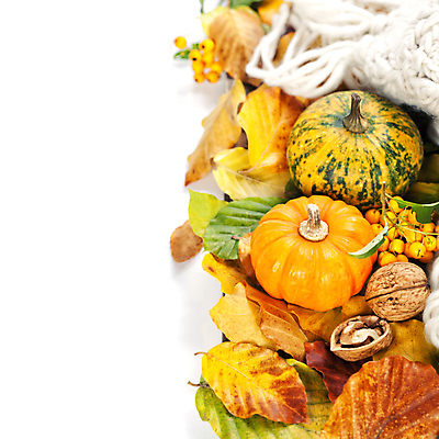 포토 JPG 해외이미지 열매 낙엽 호박 실내 사람없음 농작물 가을 털실 흰배경 호두 카피스페이스 해외202004 해외포토 식물 계절 백그라운드 잎 농업 채소 내부 공백 견과류 흰색 실 파일형식