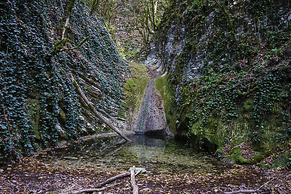 포토 JPG 해외이미지 계절 공원 호수 여행 백그라운드 자연 산 이끼 풍경 사람없음 야외 목재 물 여름 강 환경 골짜기 폭포 젖음 흐름 가을 바위 신선 도시 개울 숲 시원함 기적 러시아 지역 내추럴 러시아인 전국 진짜 해외202004 해외202105 해외포토 자연요소 서양인 나무 공공시설 유럽 컨셉 재료 돌_바위 생태계 파일형식