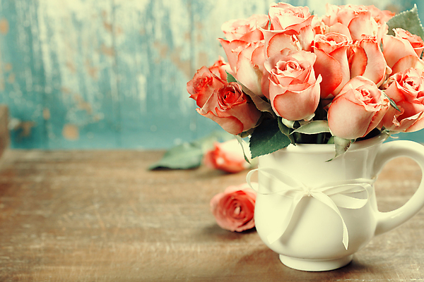 포토 JPG 해외이미지 리본 실내 사람없음 아웃포커스 장미 꽃병 다발 세피아 해외202004 해외포토 꽃 촬영기법 내부 파일형식