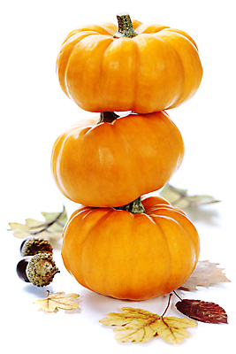 포토 JPG 해외이미지 낙엽 호박 실내 사람없음 농작물 쌓기 가을 세개 흰배경 도토리 해외202004 해외포토 계절 백그라운드 잎 농업 채소 모션 3 내부 견과류 흰색 파일형식