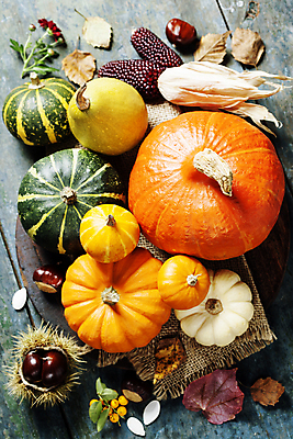 포토 JPG 해외이미지 열매 낙엽 호박 실내 사람없음 농작물 가을 밤 밤송이 삼베 나무바닥 호박씨 흑찰옥수수 해외202004 해외포토 식물 계절 잎 농업 채소 바닥 씨앗 내부 견과류 밤_견과류 찰옥수수 파일형식 천_직물