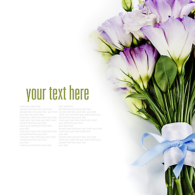 포토 JPG 해외이미지 리본 부케 실내 근접촬영 타이포그라피 사람없음 흰배경 리시안셔스 카피스페이스 해외202004 해외포토 문자 뷰포인트 꽃다발 백그라운드 내부 공백 흰색 파일형식