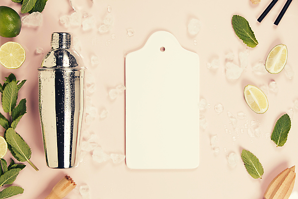 포토 JPG 해외이미지 도마 실내 사람없음 하이앵글 얼음 칵테일 민트 라임 모히토 쉐이커 셰이커 분홍색배경 해외202004 해외포토 자연요소 뷰포인트 분홍색 백그라운드 과일 주방용품 주류 내부 허브 파일형식