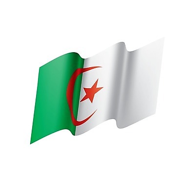 EPS 해외이미지 템플릿 디자인 배너 별 리본 지구 백그라운드 컨셉 일러스트 아프리카 그래픽 빨간색 세계 깃발 초승달 심볼 사인 눈금 신분 애국심 휘장 고립 공화국 알제리 엘리먼트 전국 접기 정부 해외202004 해외202105 해외일러스트 자연요소 나라 컬러 모션 달 파일형식 벡터