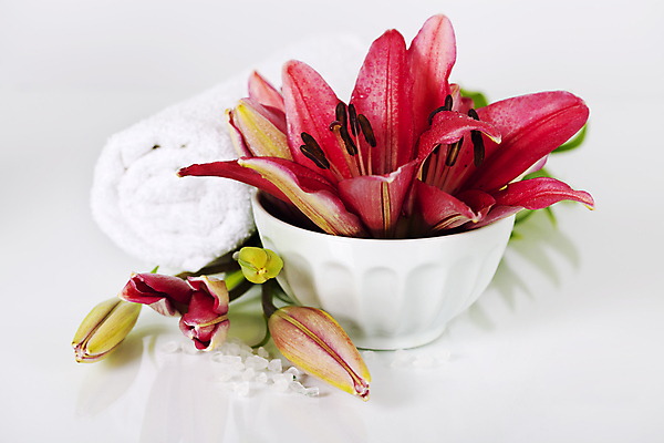 포토 JPG 해외이미지 사람없음 수건 스파 조약돌 사발 스파용품 아로마테라피 입욕소금 해외202004 해외포토 위생용품 돌_바위 미용용품 사기그릇 오브젝트 소금 테라피 파일형식