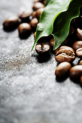 포토 JPG 해외이미지 회색배경 실내 사람없음 원두 해외202004 해외포토 커피 백그라운드 내부 회색 파일형식